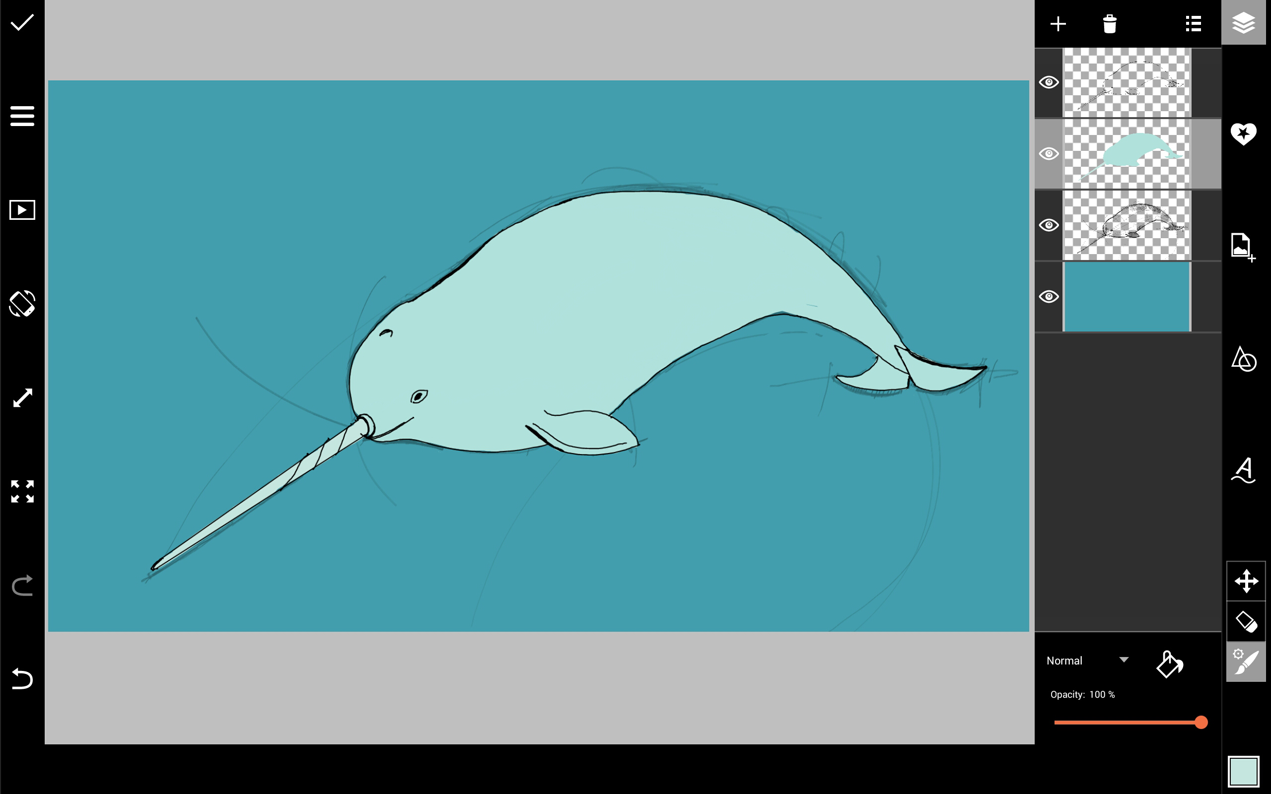coloring narwhal