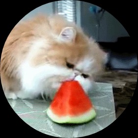 Picsart profile picture for @calorie