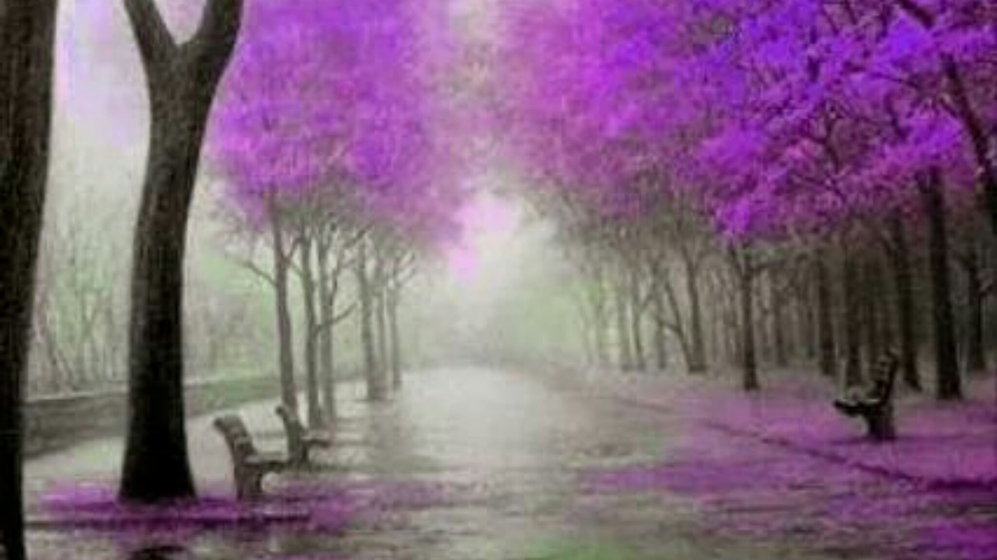 Picsart banner for @panchal