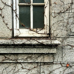 texture windows vintage retro oldphoto