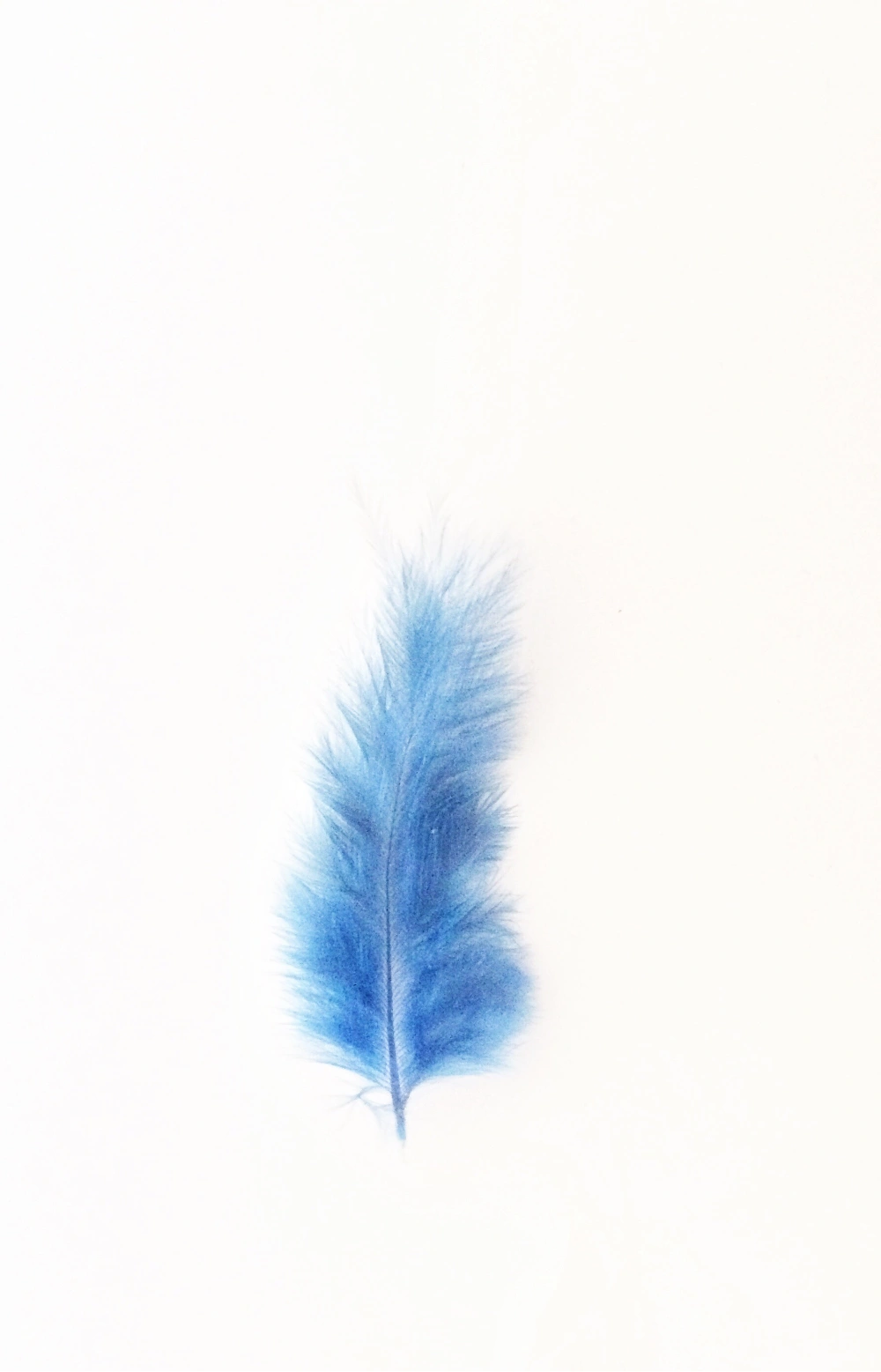 #FreeToEdit #feather #blue and