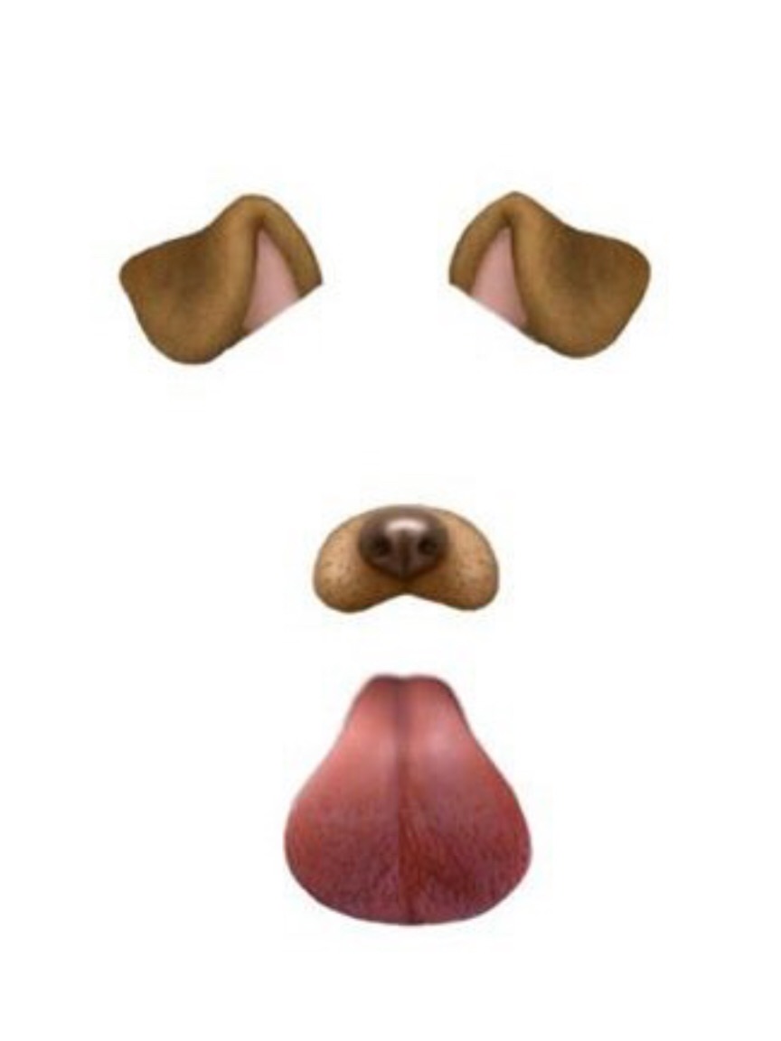 Рисунок уши собаки